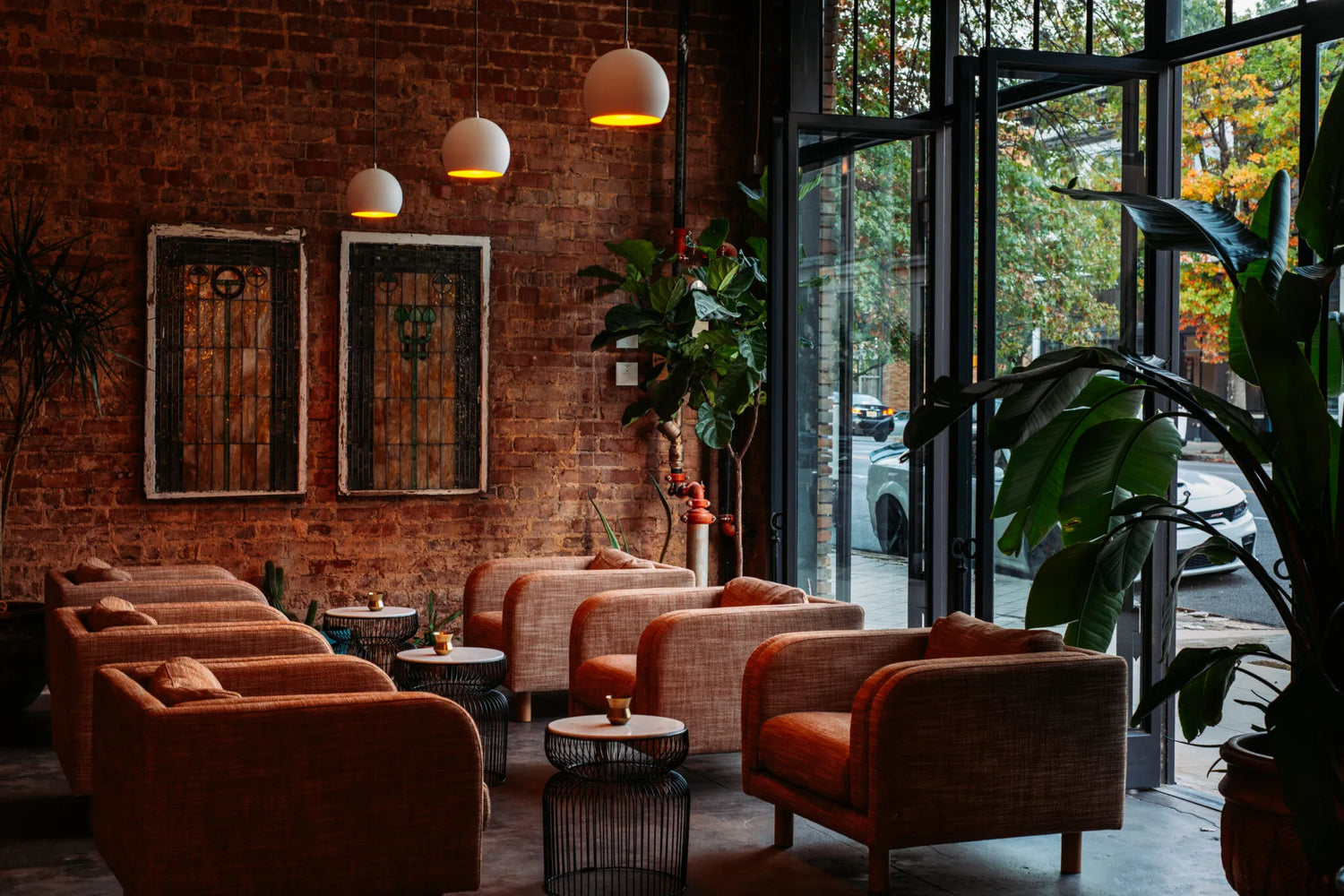 Front lounge at Adios Bar in Birmingham, Alabama. 6 lounge chairs sit in 2's facing each other with a large fiddle leaf fig tree and hearts of palm in the background.